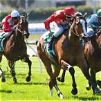 bet on australian horse racing